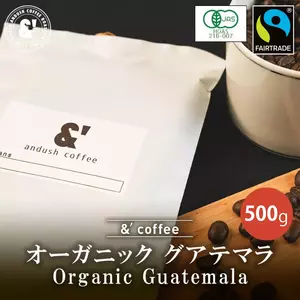 見事な創造力 jasオーガニック フェアトレード認証珈琲豆（2kg）京 グアテマラ コーヒー