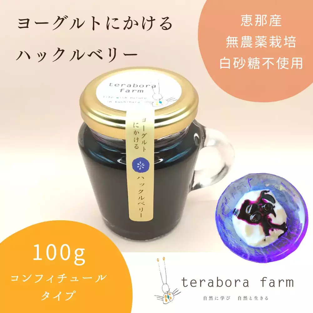 Besotir ブルーベリー ヨーグルト味 2袋セット,脂解癒1パック 【公式