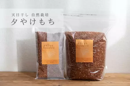 化学肥料不使用」の検索結果 - オーガニック食品の仕入なら imbulk